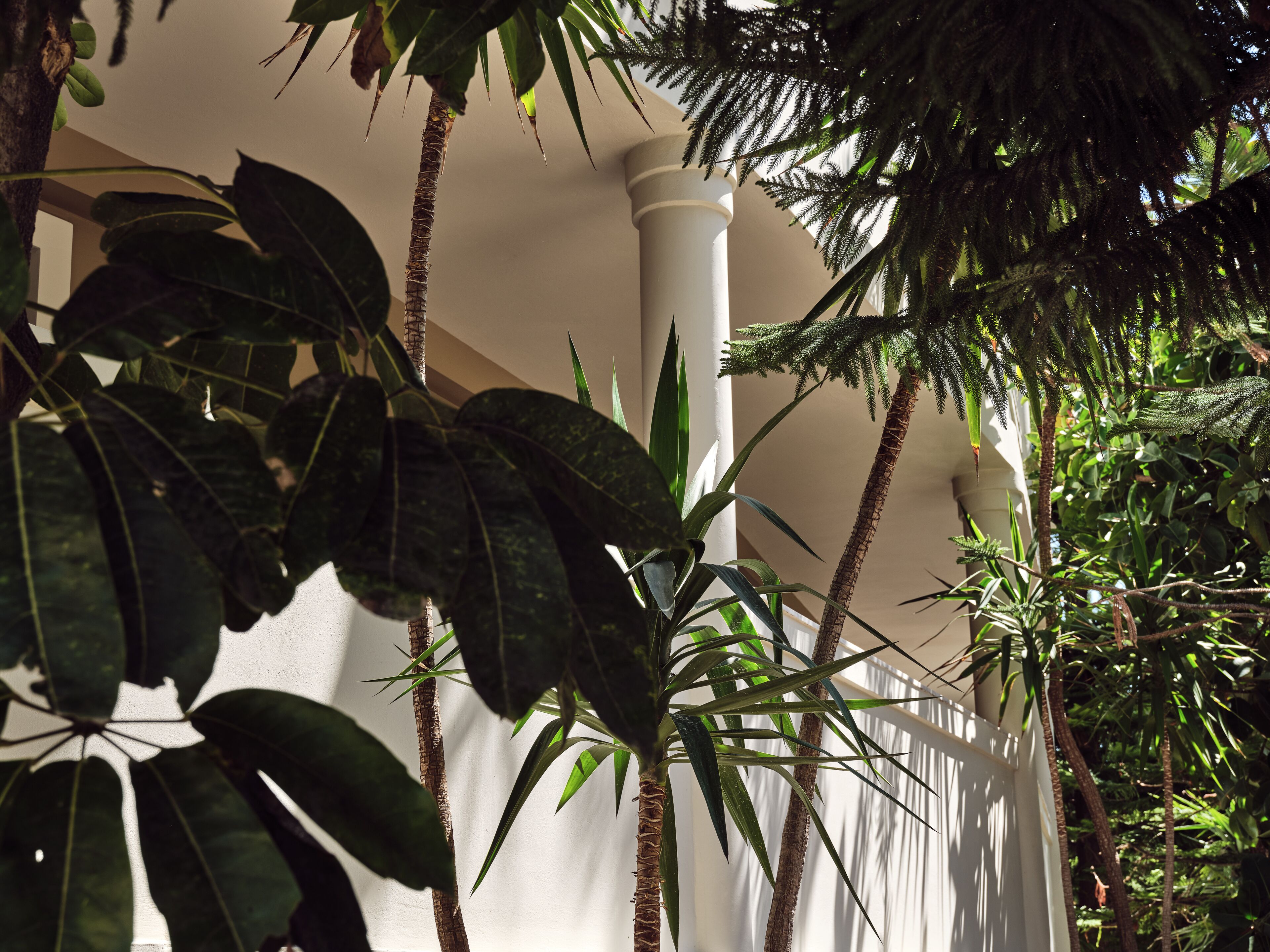 Foto - Windmill Bay Hotel