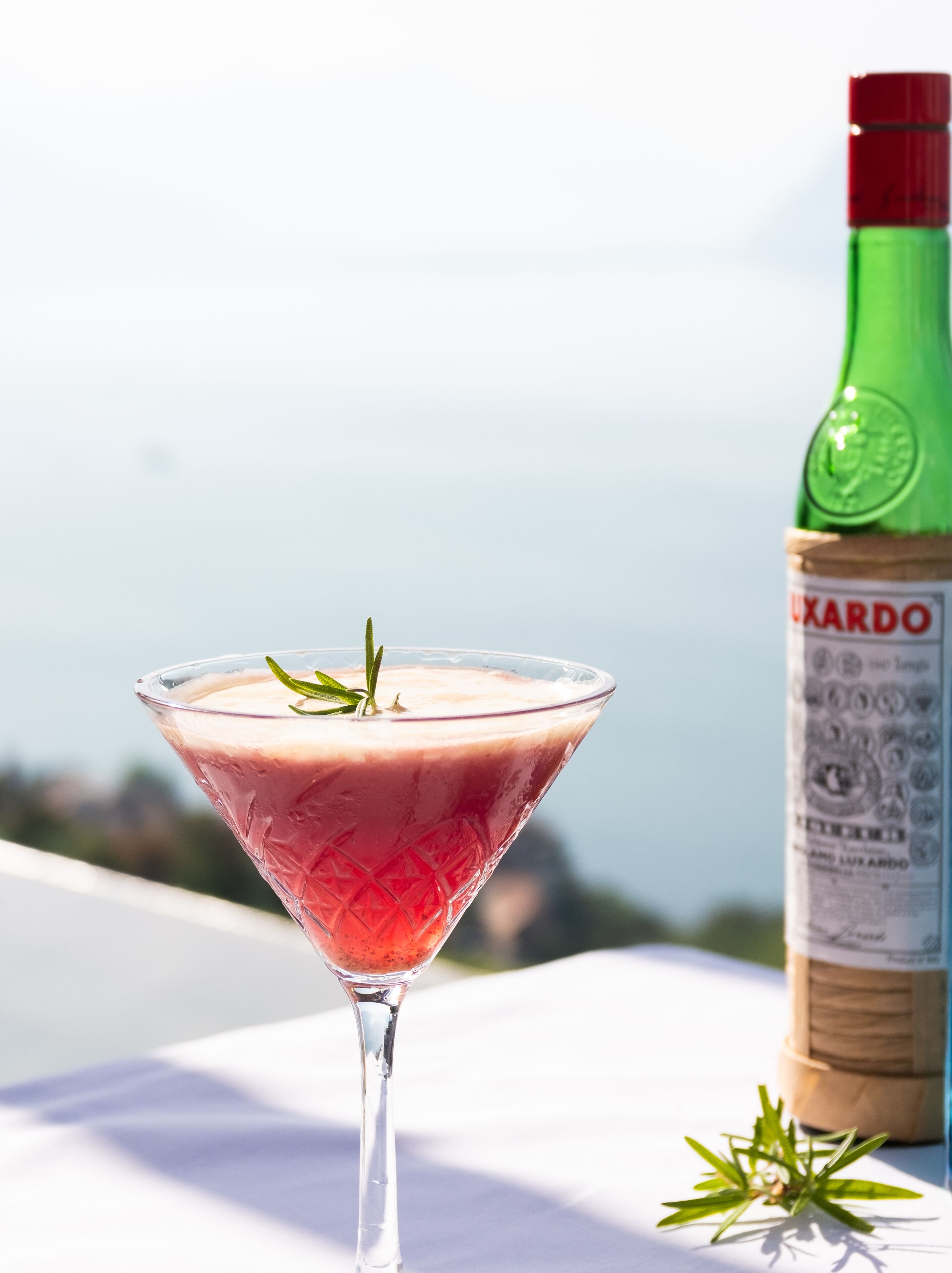 Una copa de martini con una bebida rosada, una botella de licor y una ramita de romero sobre una mesa.