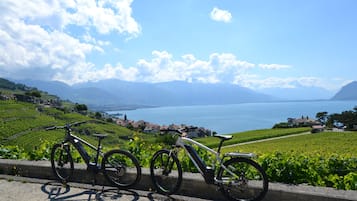 Een fiets geparkeerd bij een uitkijkpunt, met uitzicht op een meer en bergen.