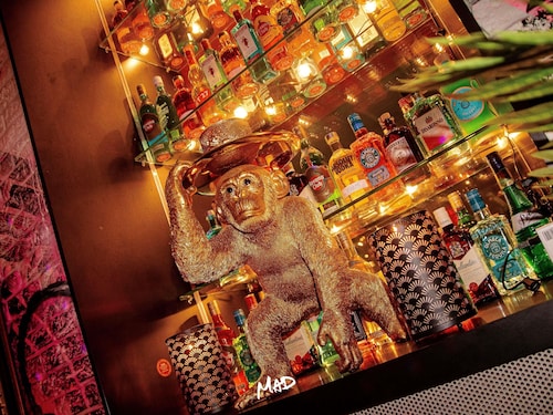 ibis Styles Lausanne Center Mad House