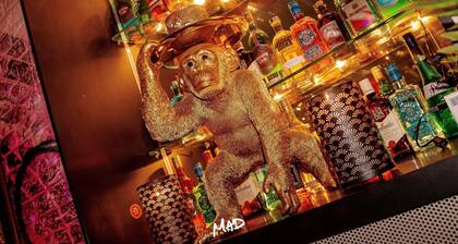 ibis Styles Lausanne Center Mad House