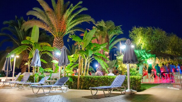 Un área de piscina al aire libre con sillones de descanso y sombrillas, rodeada de palmeras y vegetación.