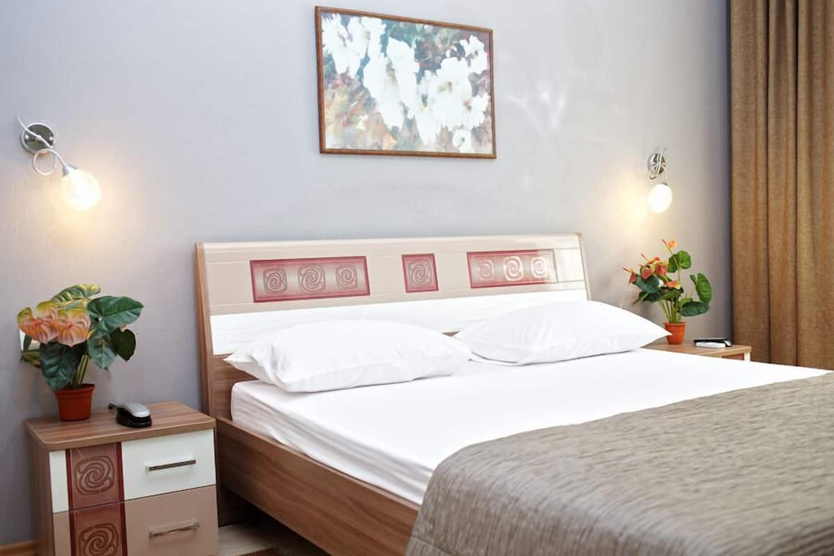 Doppia Standard, 1 camera da letto | Minibar, una cassaforte in camera, tende oscuranti