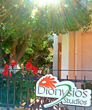 View from property - Dionysios Studios & Apartments (Kefalonia)