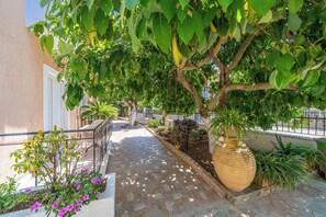 View from property - Dionysios Studios & Apartments (Kefalonia)