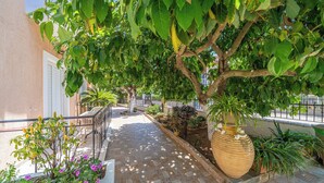 A paved walkway with potted plants and a large tree providing shade. - Dionysios Studios & Apartments (Kefalonia)