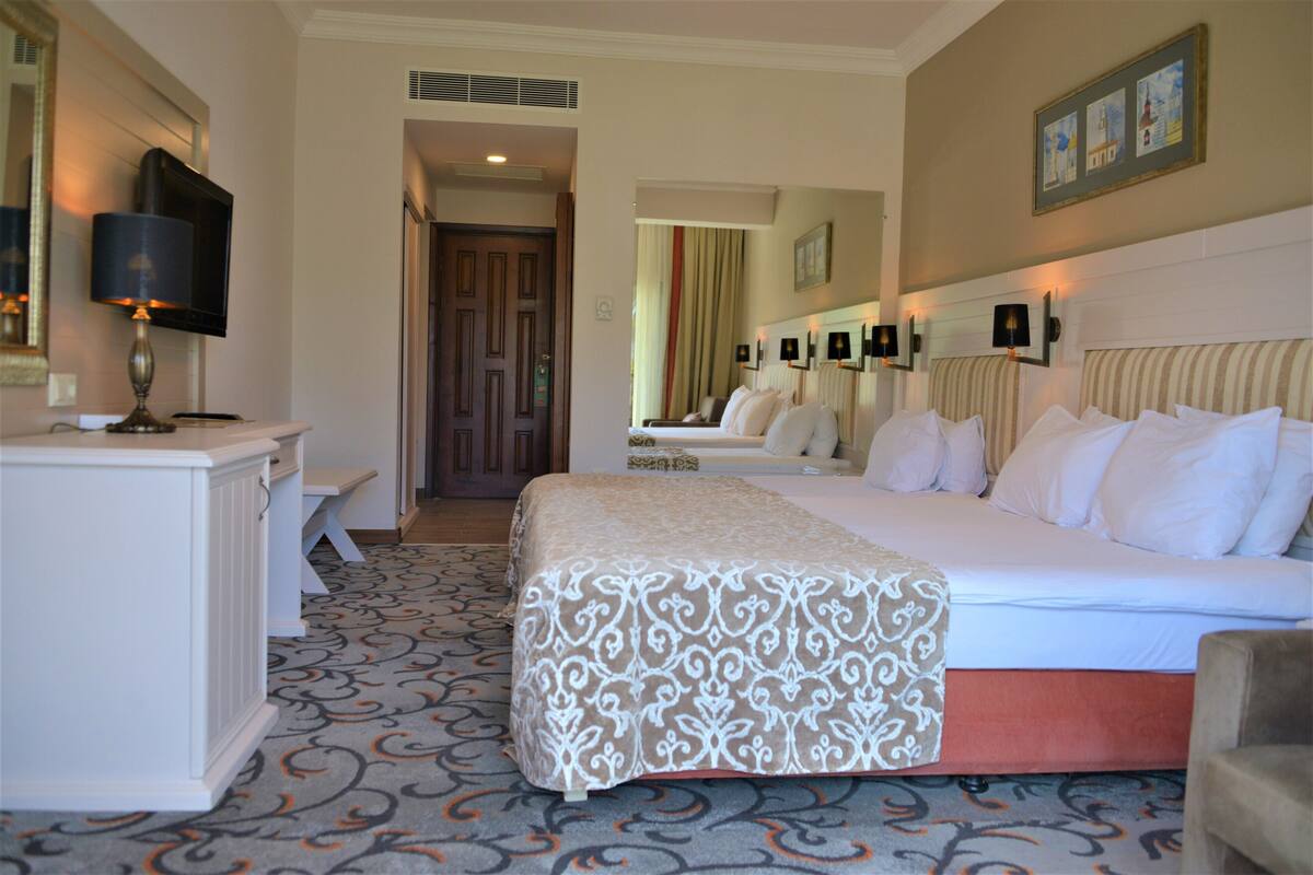 A hotel room with a large bed, a desk with a TV, and a patterned carpet.