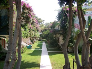 A pathway flanked by trees with purple flowers, leading to a building with a white facade. - Club Boran Mare Beach - All Inclusive (Kemer)