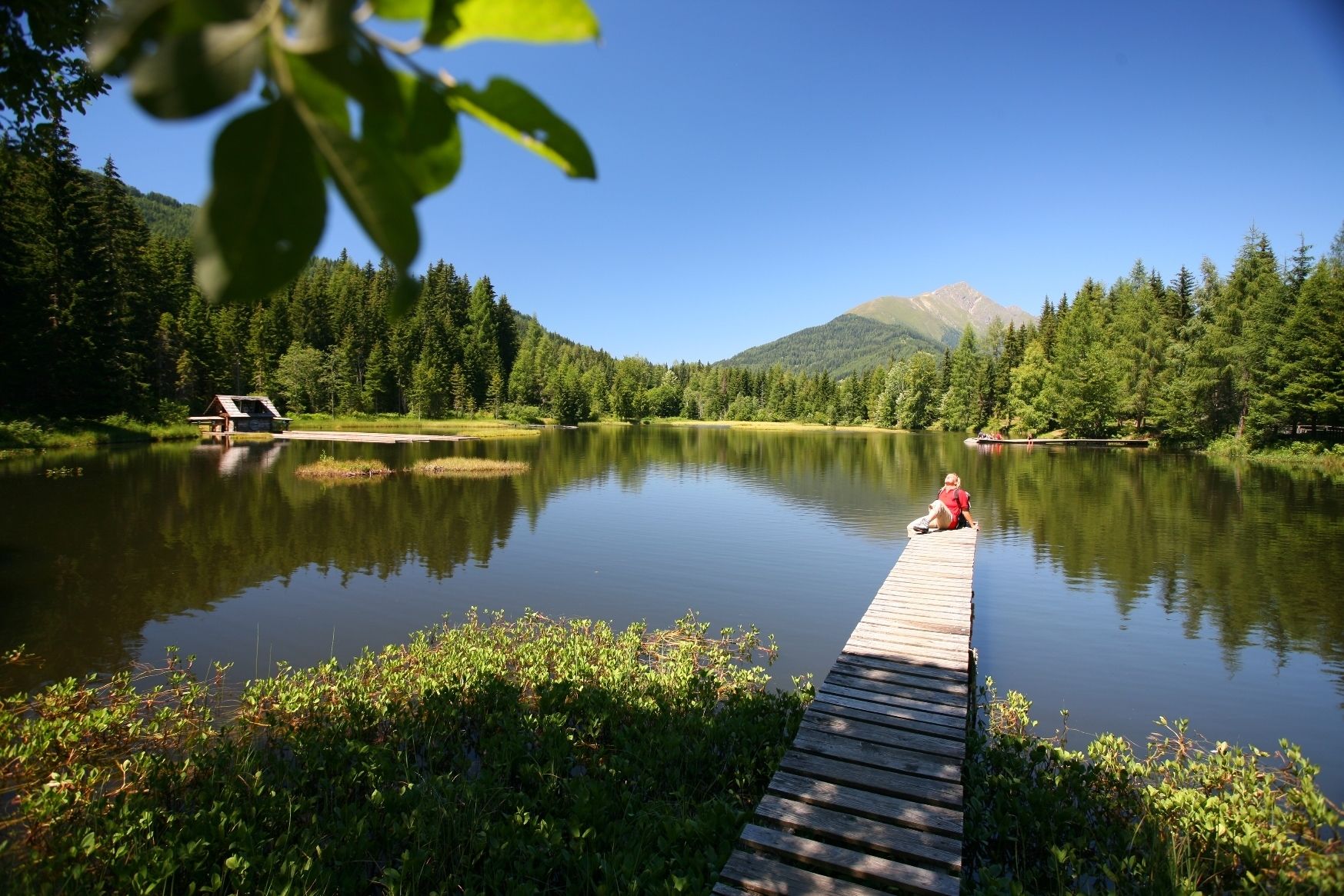 A wooden dock extending into a calm lake surrounded by dense forest and a mountain in the background.