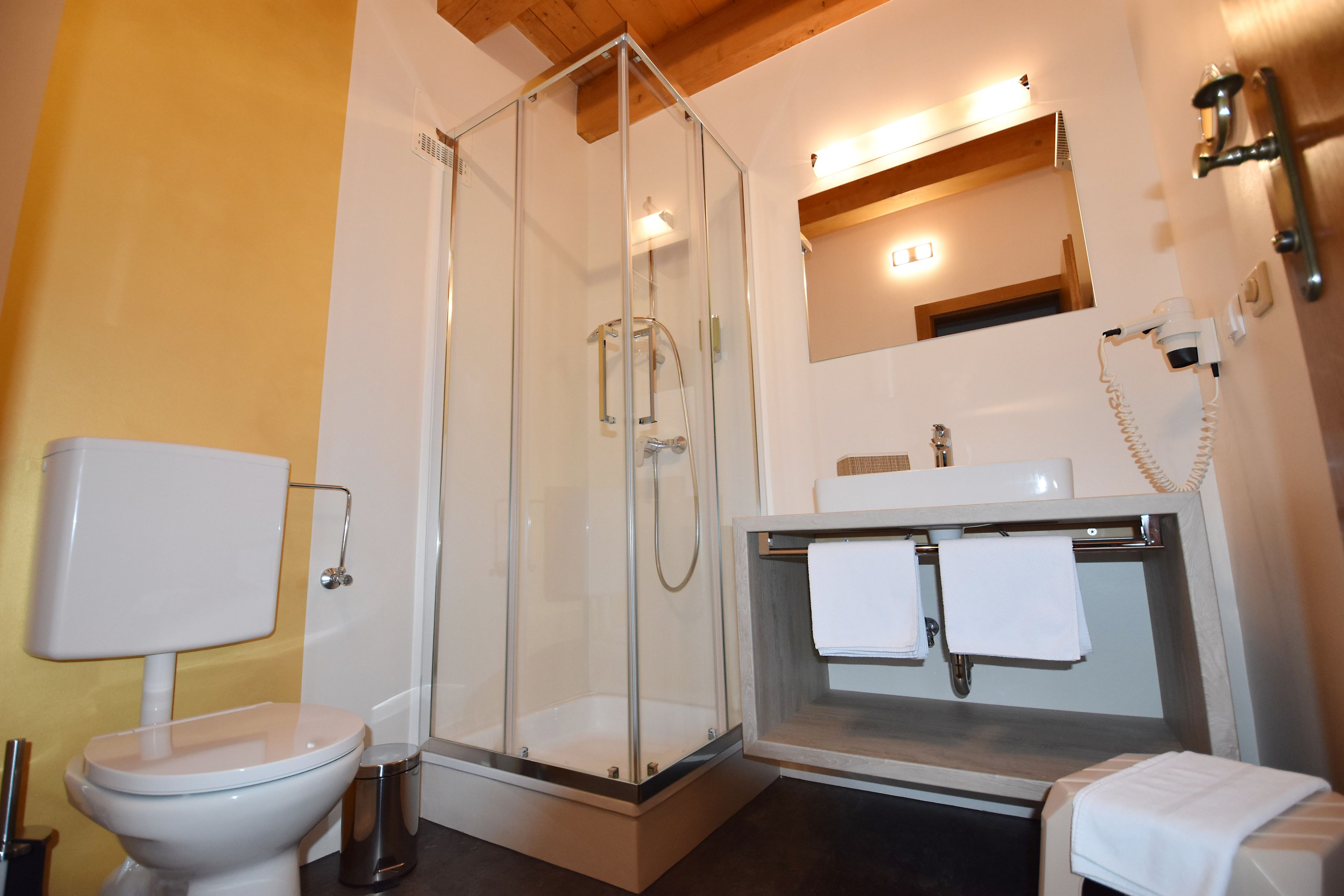 A modern bathroom with a glass-enclosed shower, a toilet, and a sink with two towels.