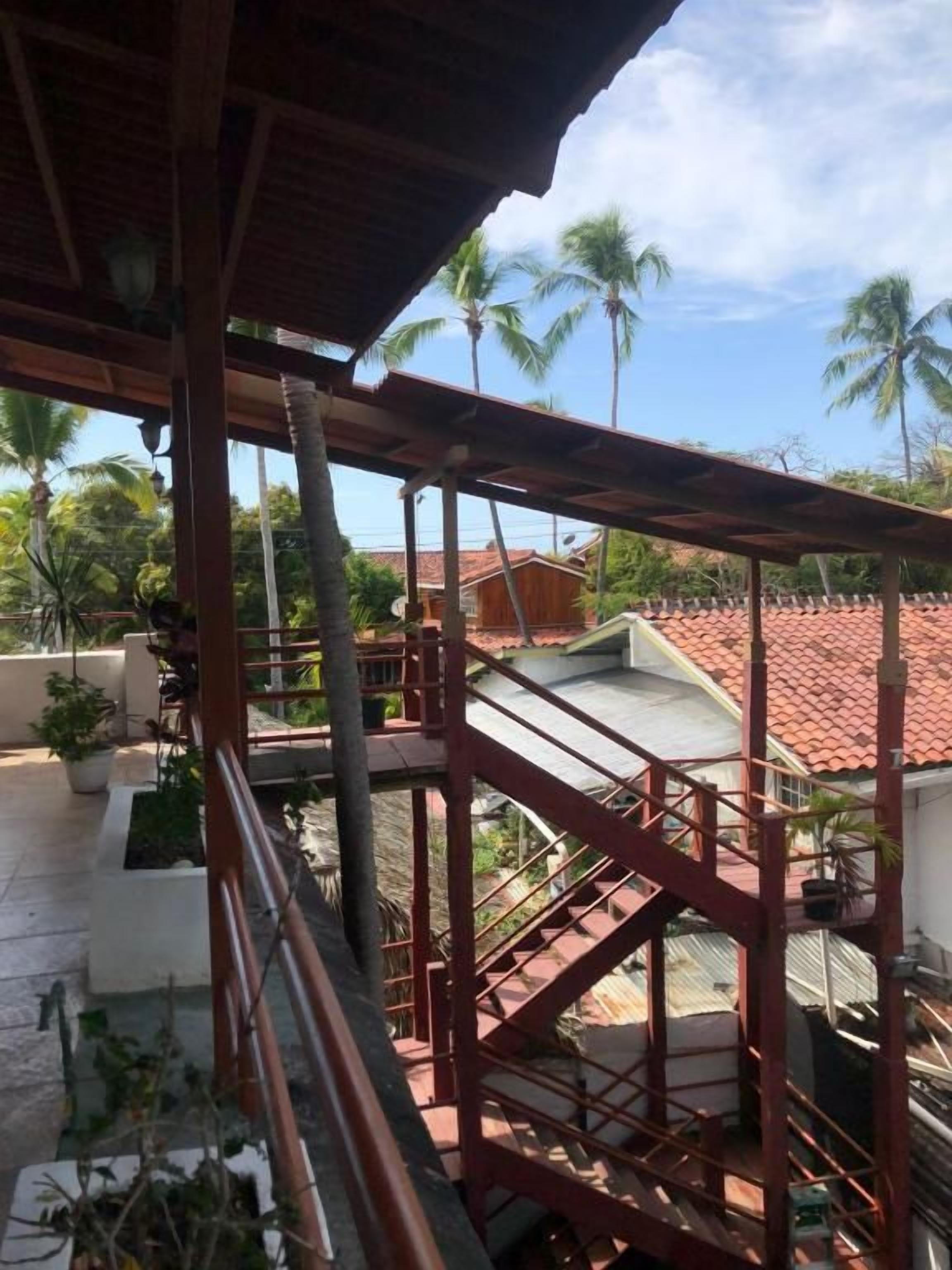 Un espace extérieur abrité, doté d’un escalier en bois menant à un niveau inférieur, et agrémenté de plantes en pot et de palmiers.