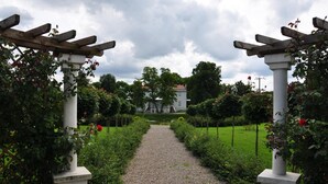 View from property - Restauracja Hotel Palacowa (gmina Rogowo)