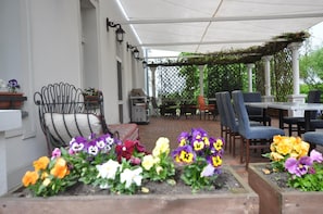 View from property - Restauracja Hotel Palacowa (gmina Rogowo)