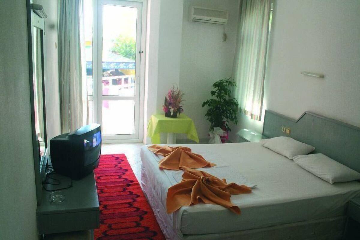 A hotel room with a bed, a television on a stand, a small table with a plant, and a window with curtains.