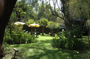 Jardín