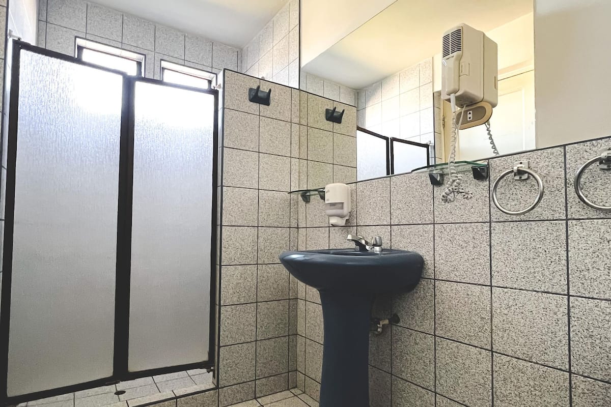 shower, free toiletries, hair dryer, towels