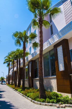 Vue depuis l’hébergement