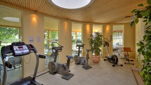 A gym with treadmills, stationary bikes, and a large potted plant. - Seehotel Rust (Rust)
