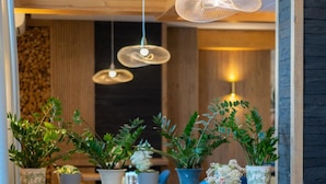 Imagen sin descripción, 5 de 47, botón