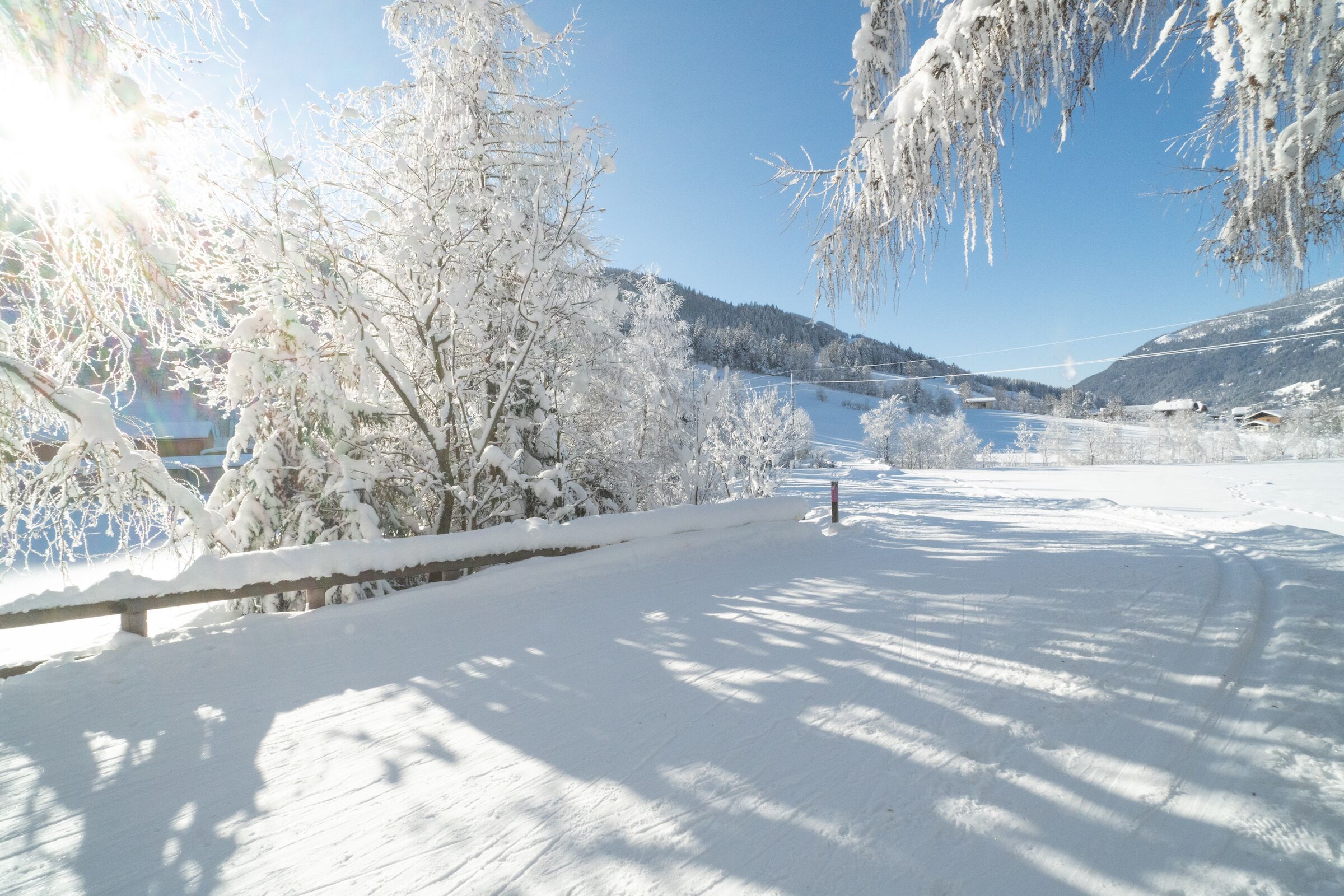 Lumipeitteinen maisema, jossa on puita ja kirkas taivas.