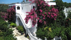 Un bâtiment blanc avec un escalier menant à un balcon, entouré d’une végétation luxuriante et de fleurs de bougainvillier roses.