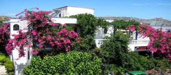 Hotel Rosmari