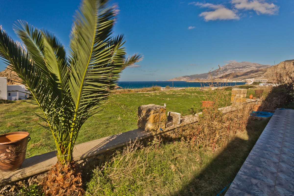 A coastal landscape with a view of the sea, a palm tree, and a stone wall.