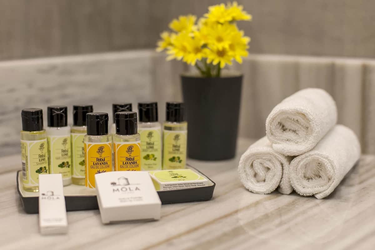 shower, designer toiletries, hair dryer, bathrobes