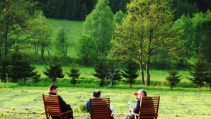 Tres sillas de madera en un campo abierto y cubierto de hierba, con árboles al fondo.