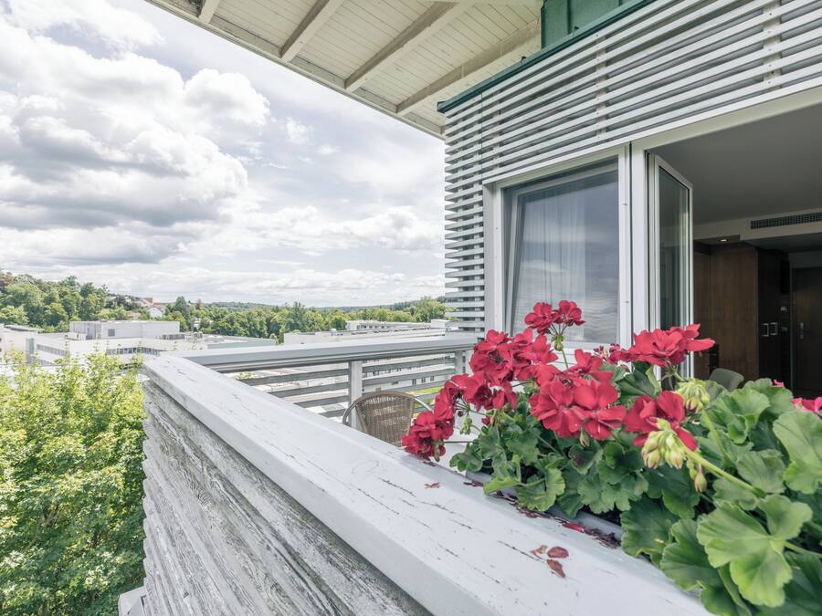 A balcony with a view of the cityscape, a window with a view of the sky, and a potted plant with red flowers.