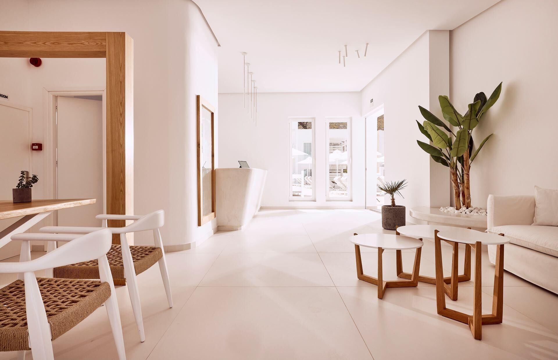 A modern, minimalist living room with white furniture, a large plant, and a view of the outdoors.