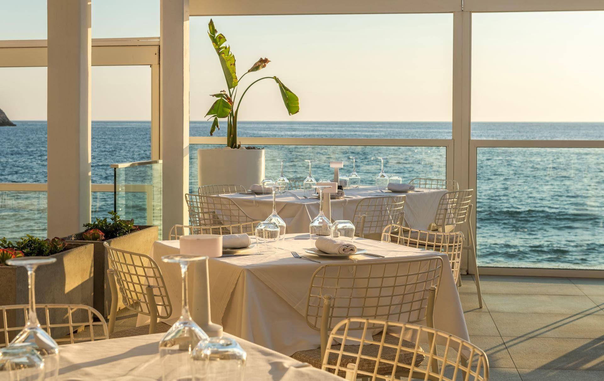 Mesa lista para comer con vista al mar, sillas blancas y una planta en maceta.