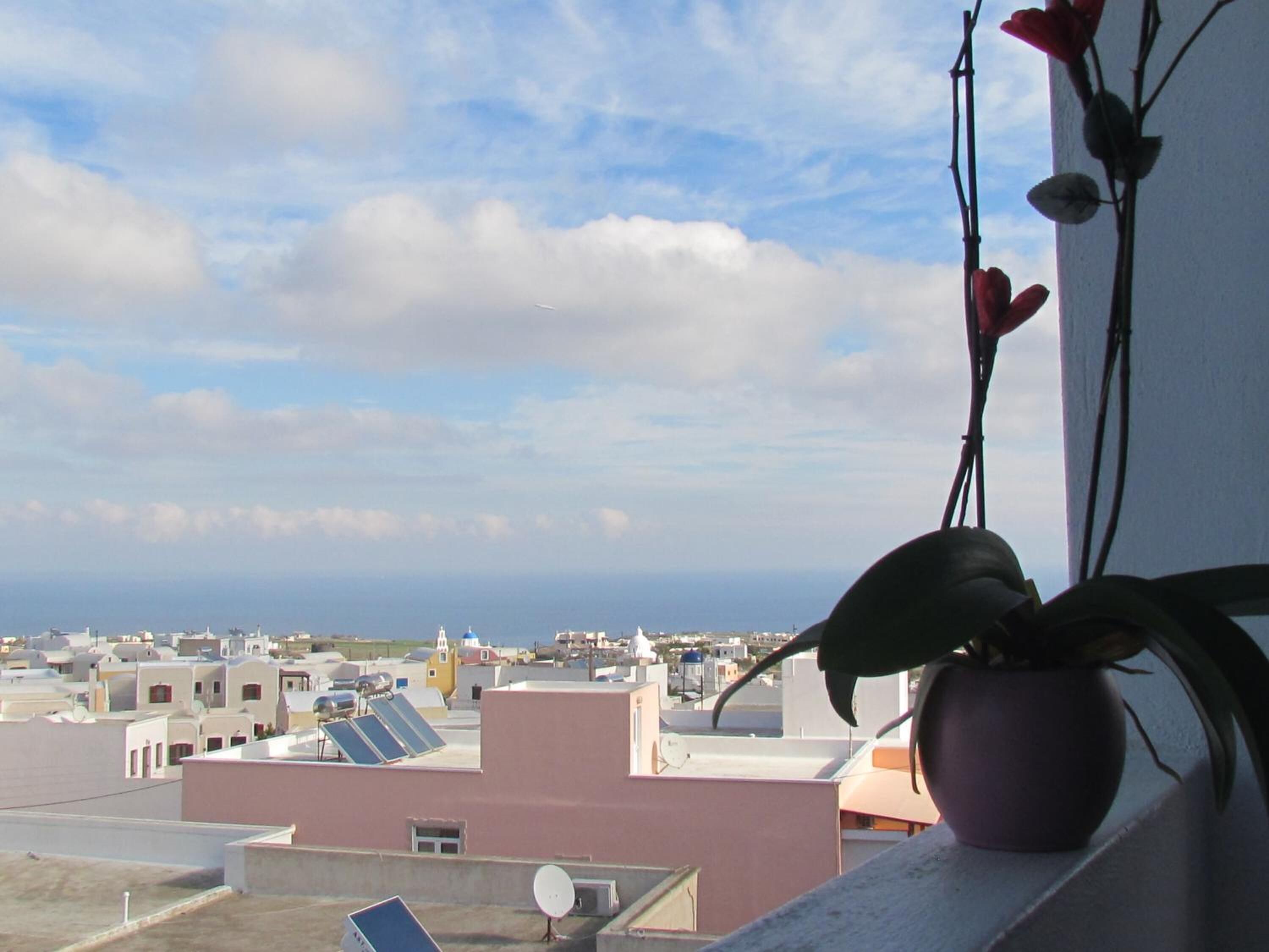 A rooftop with solar panels, a potted plant, and a view of a cityscape.