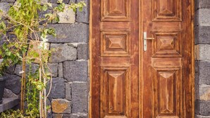Puerta doble de madera sobre un fondo de pared de piedra, una planta en maceta y un felpudo.