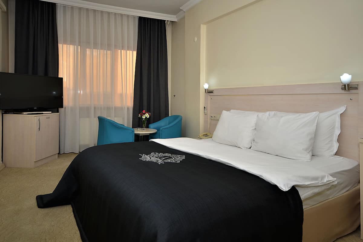 Standard Double Room Single Use | Minibar, in-room safe, iron/ironing board, rollaway beds