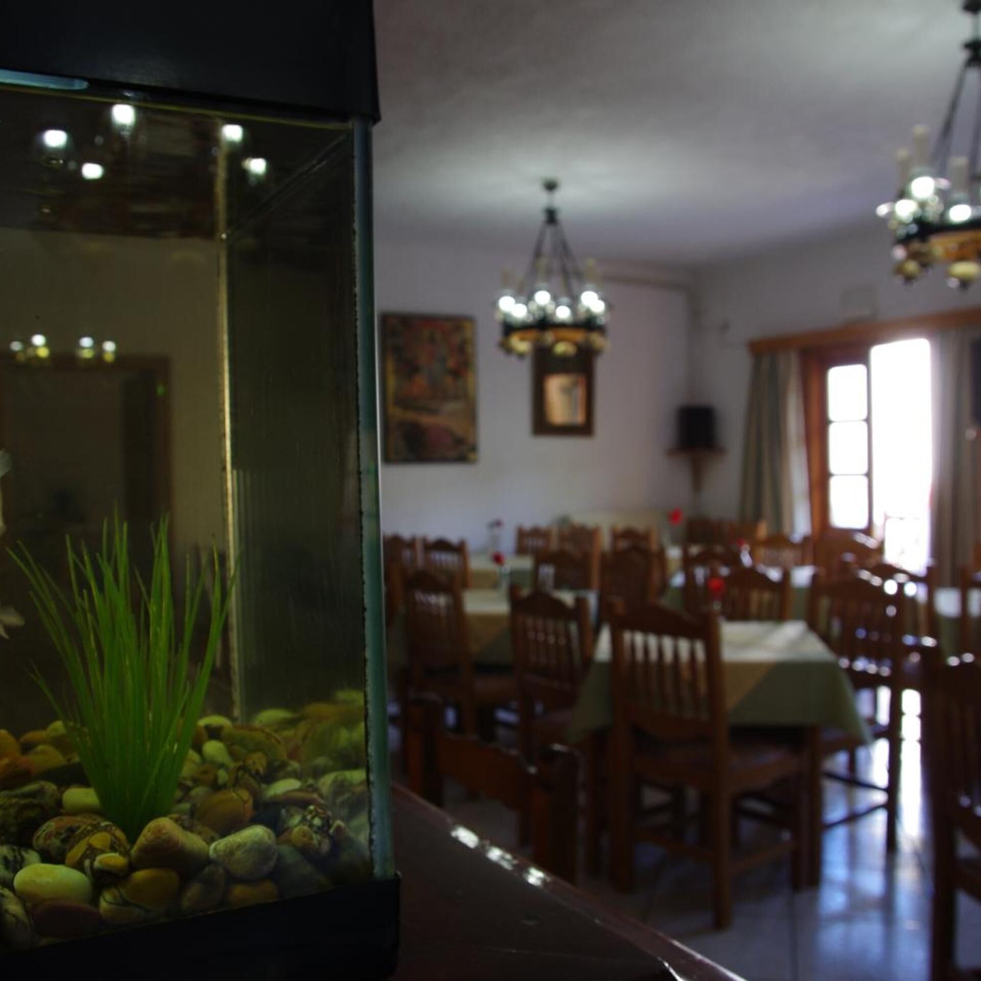 تناول الطعام