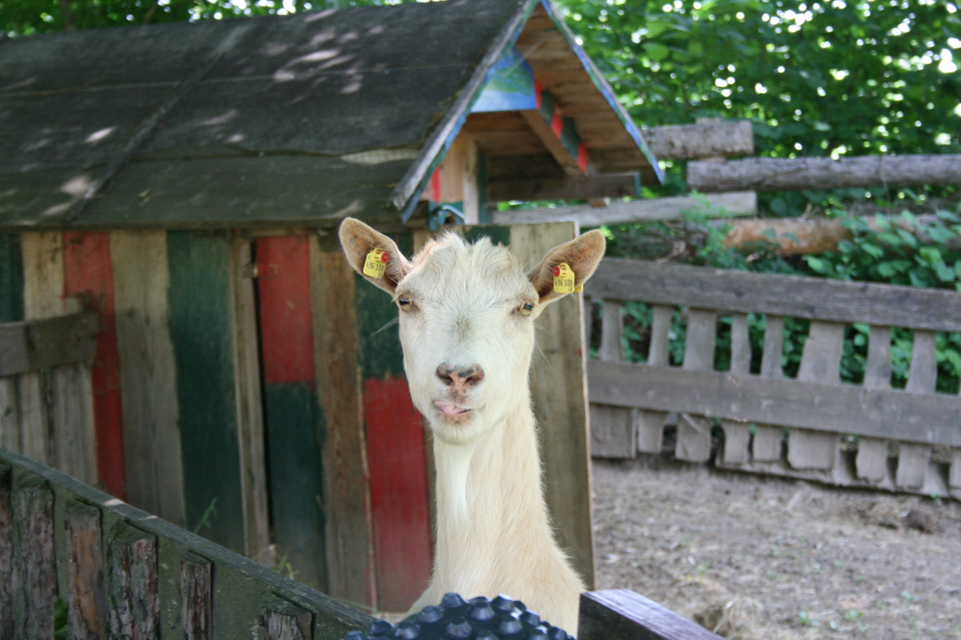 Children&#x27;s play area - outdoor