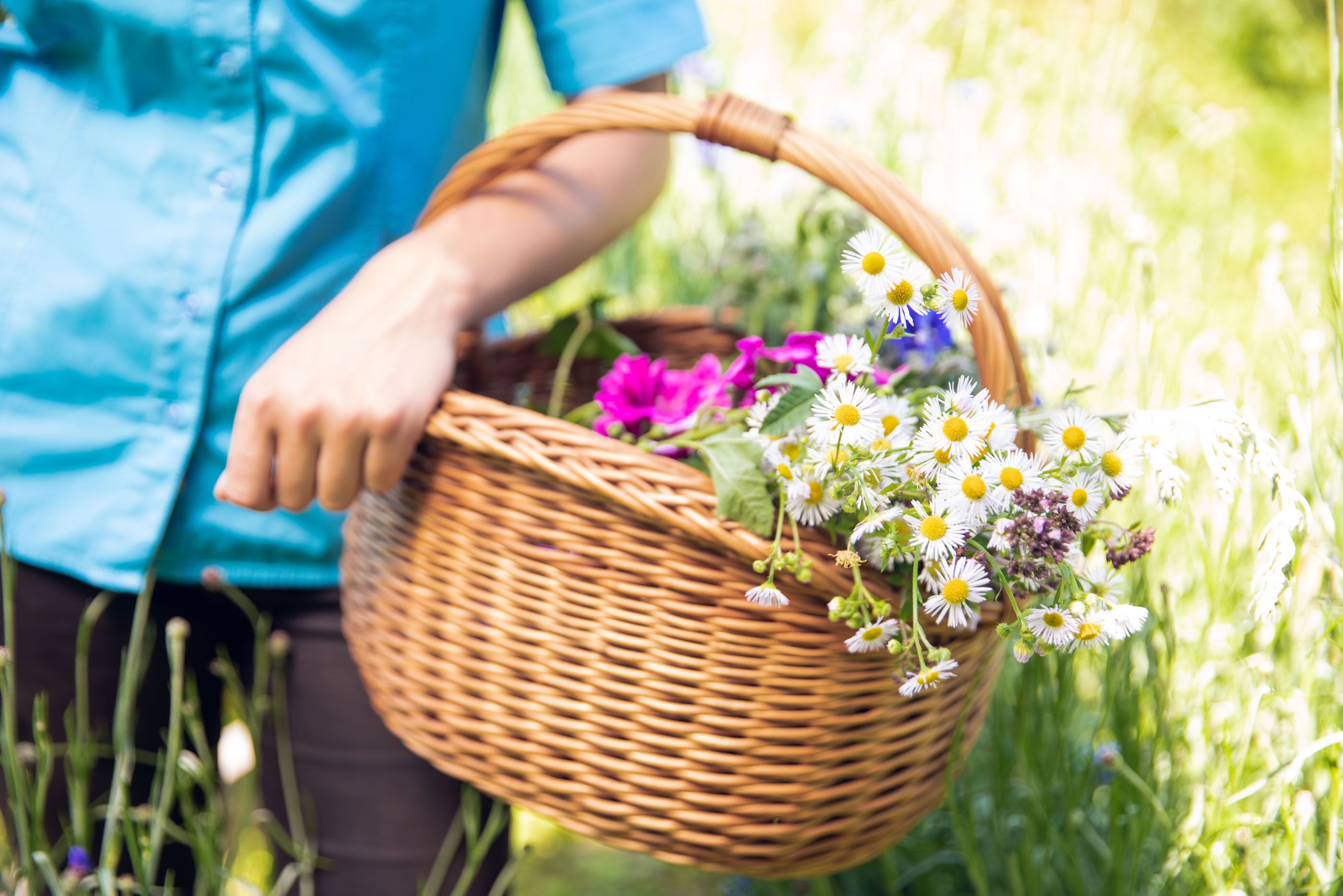 A wicker basket filled with flowers held by a person in a blue shirt.