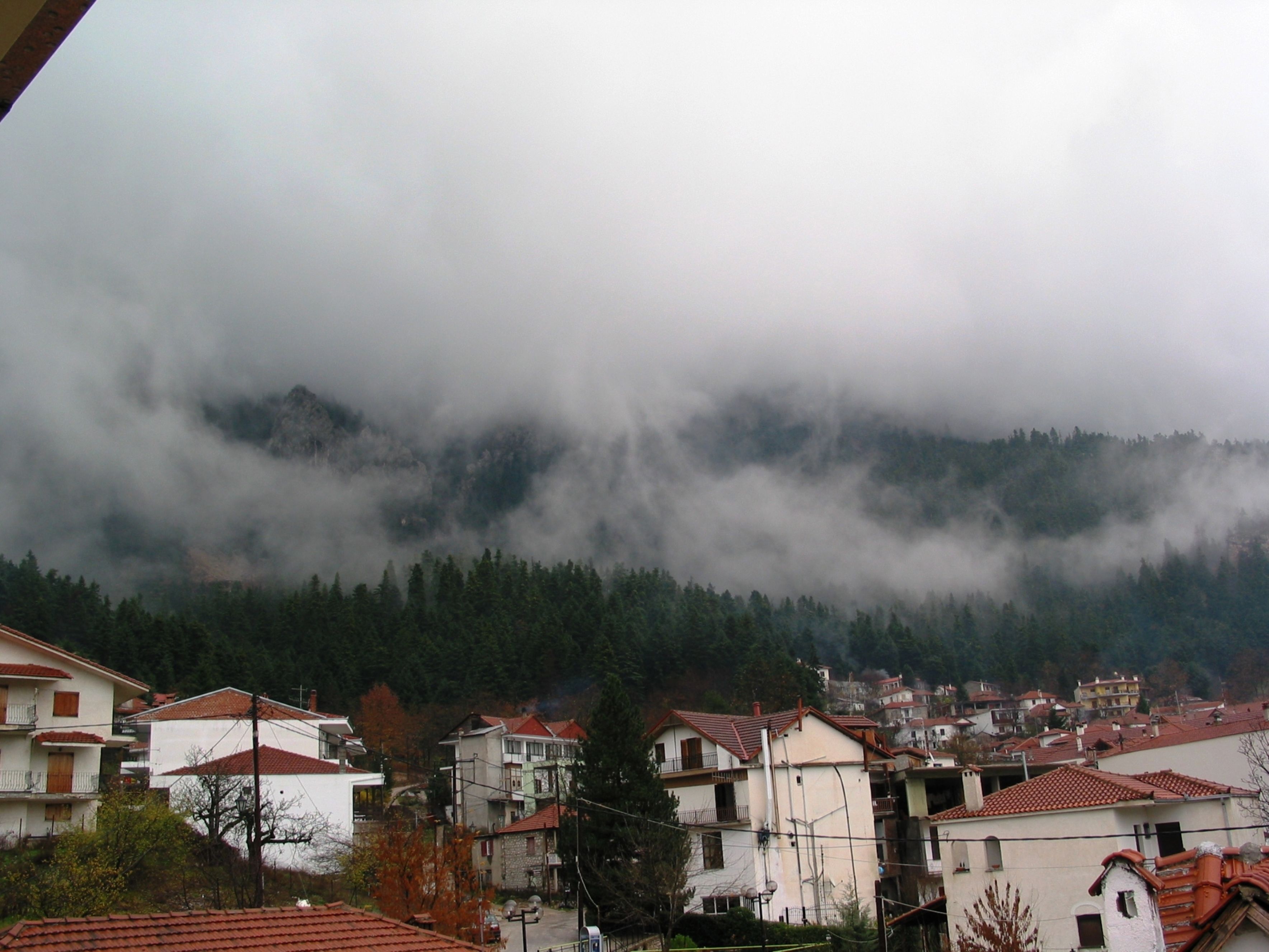 A residential area with houses and a mountain in the background.
