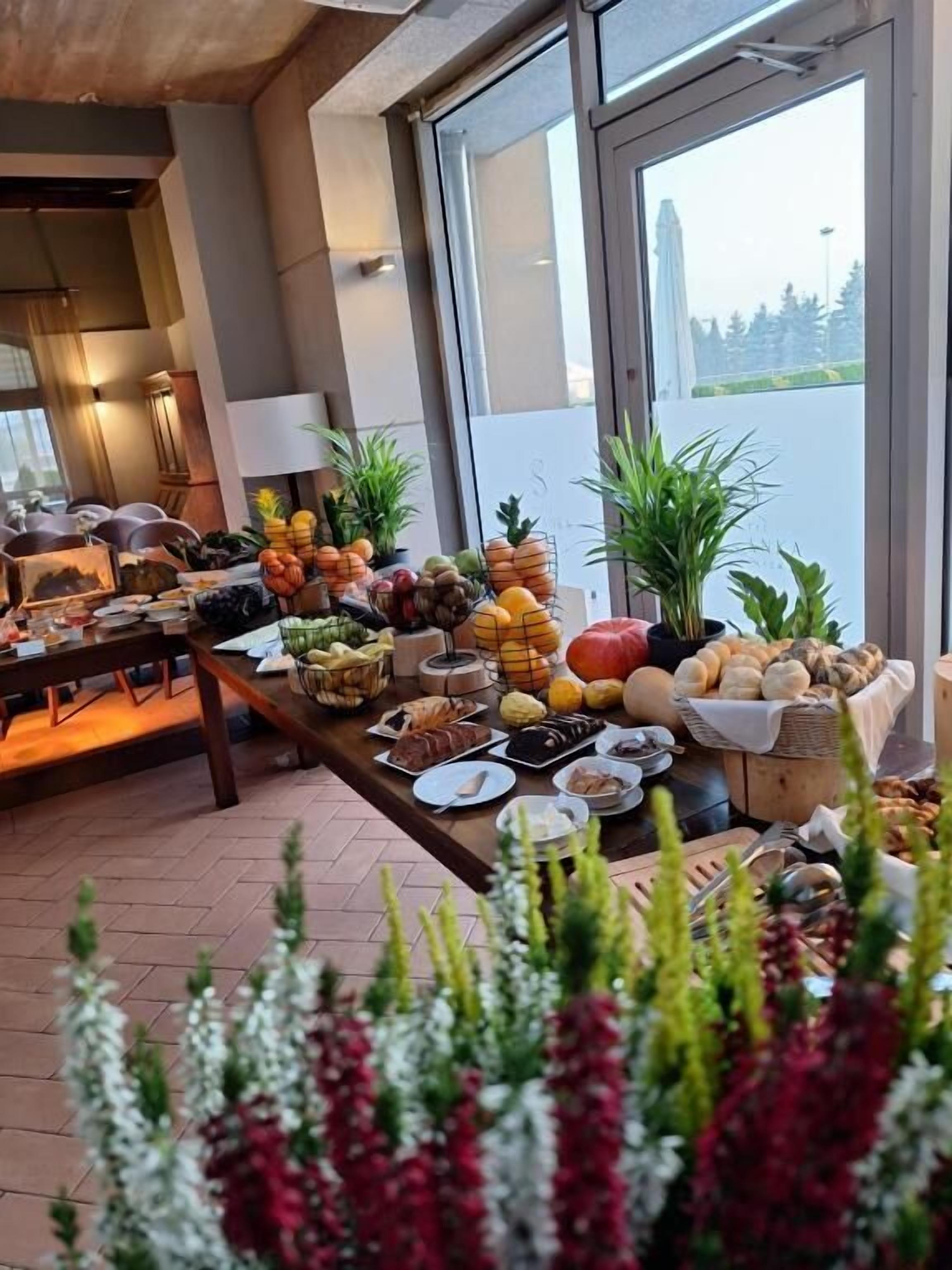 Una mesa de buffet con diferentes alimentos y una planta en maceta al frente.