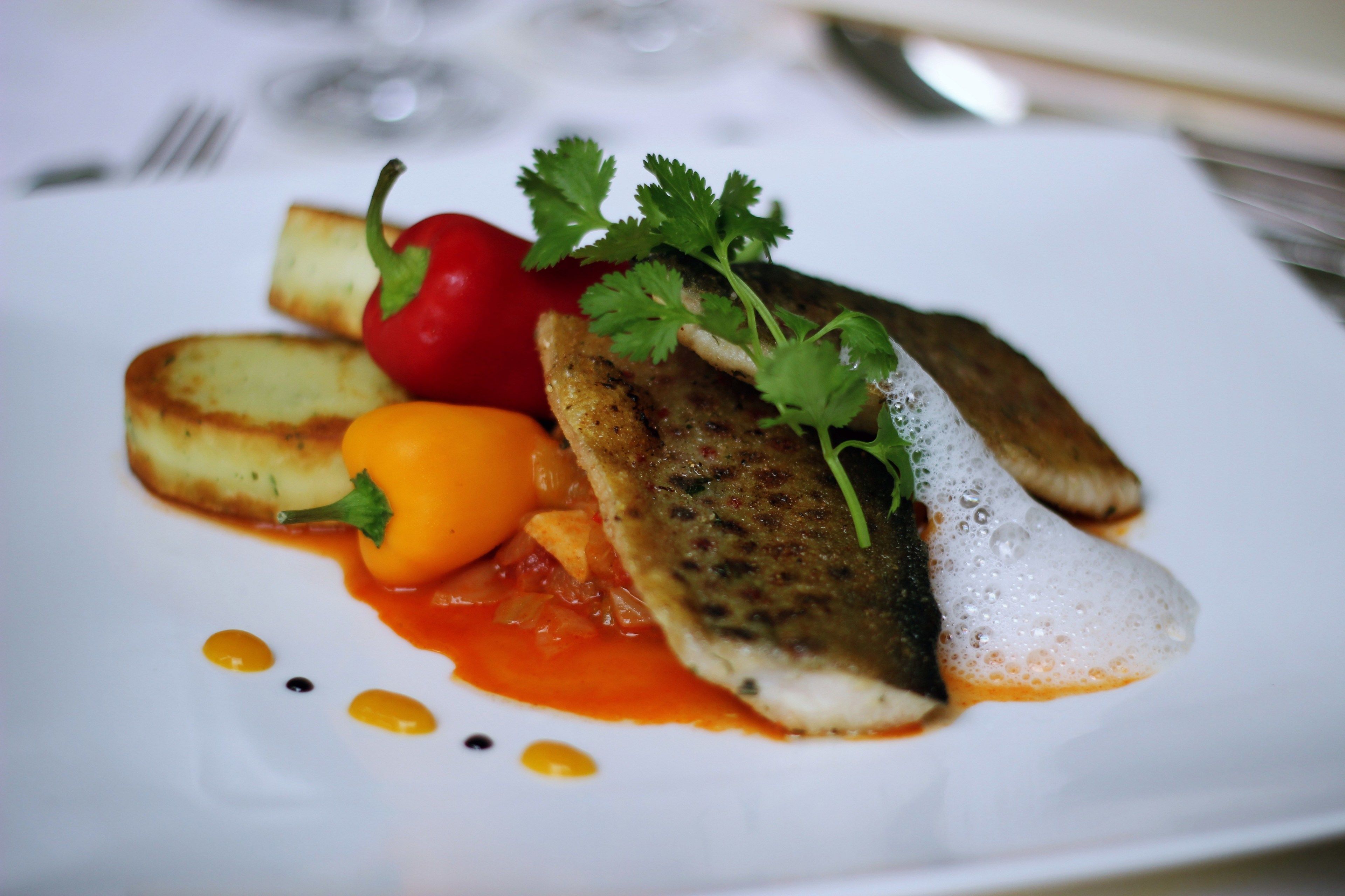 Un plato de comida con un filete de pescado, un pimiento rojo y una pequeña fruta anaranjada, posiblemente un tomate, sobre un plato blanco.
