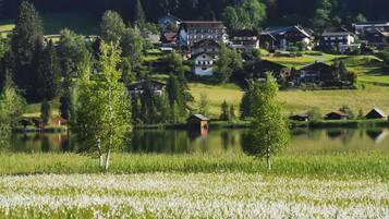 Lago
