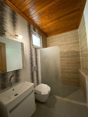 Habitación estándar | Baño | Regadera, regadera con hidromasaje, secadora de cabello, toallas 