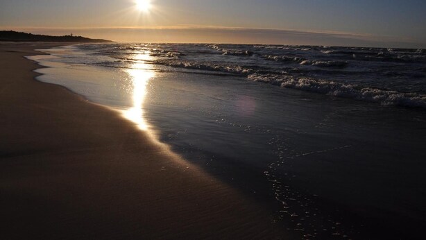 Una playa con luz solar reflejándose en la arena mojada y olas.