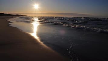 Pantai di sekitar