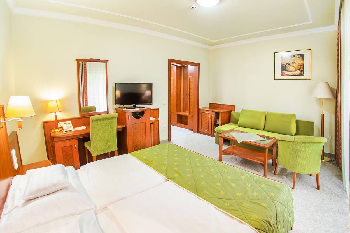 Habitación de hotel con una cama, un escritorio con una lámpara, un televisor, un sofá verde y un cuadro en la pared.