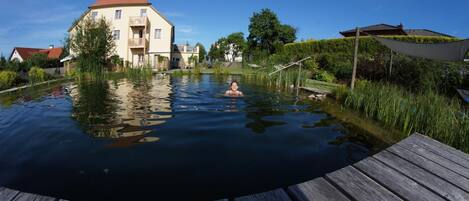 Una piscina con bordo in legno, circondata dal verde e da un edificio con tetto rosso.