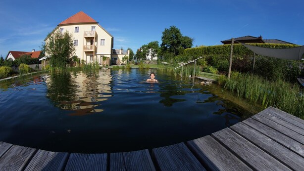 Utsikt från boendet