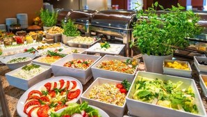 Un bufé con diversas opciones de comida y una planta en maceta.