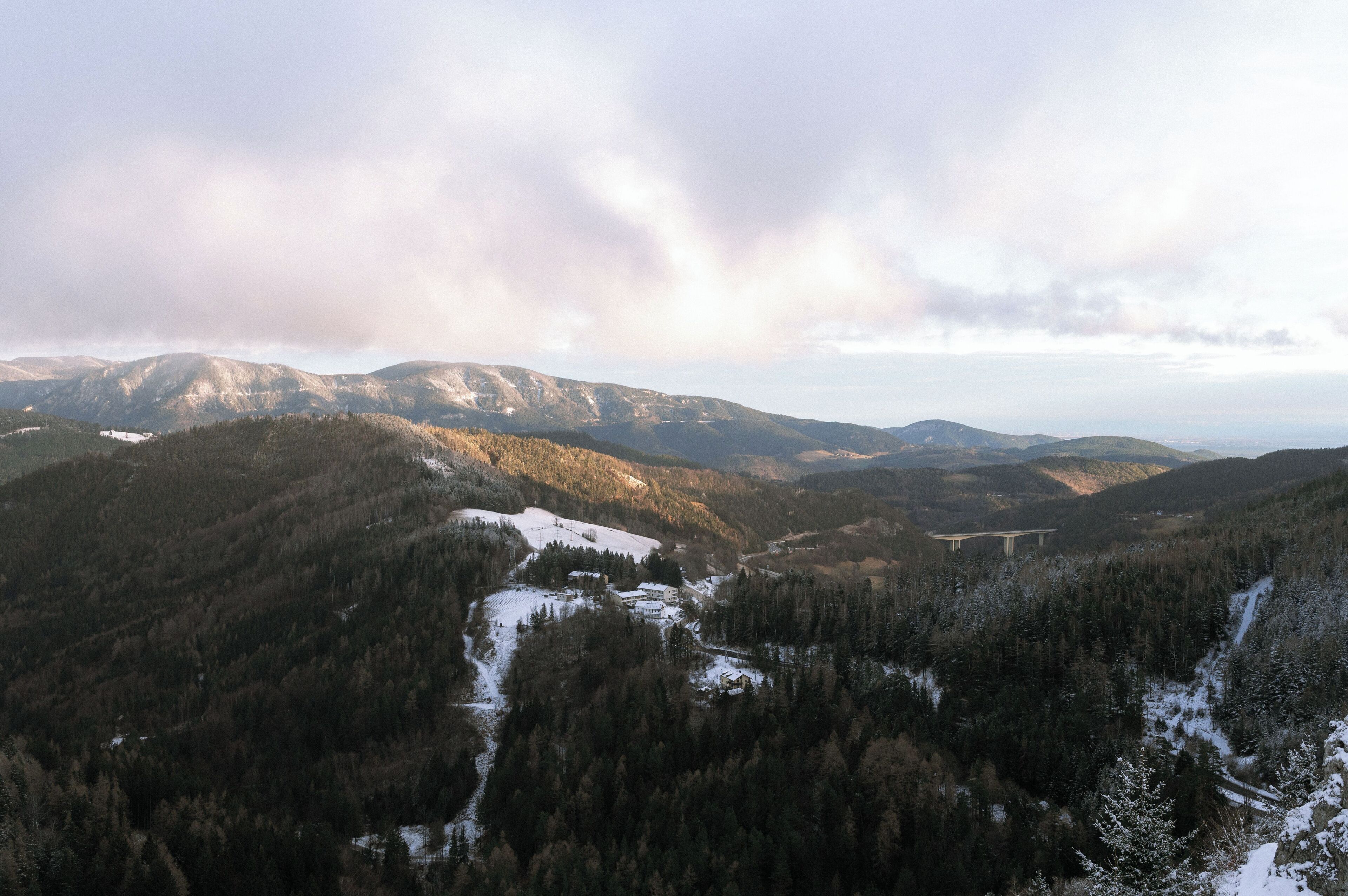 superior double room | terrace/patio